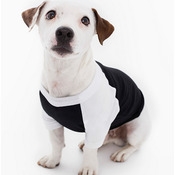 Dog Poly/Cotton Three-Quarter Sleeve Raglan Tee